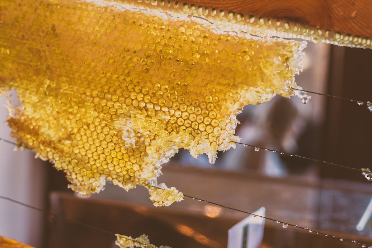 Beeswax - Nature's Most Precious Gift - Benefits and Uses Skin & Hair