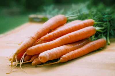 Carrot Seed Oil, a Moisturizing Skin-Rejuvenator