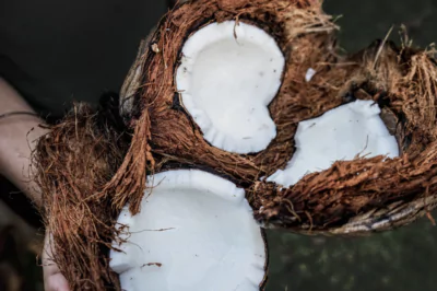 Plantago for Skin, Also Known as "Great Plantain," and its Deep-Cleansing Effects