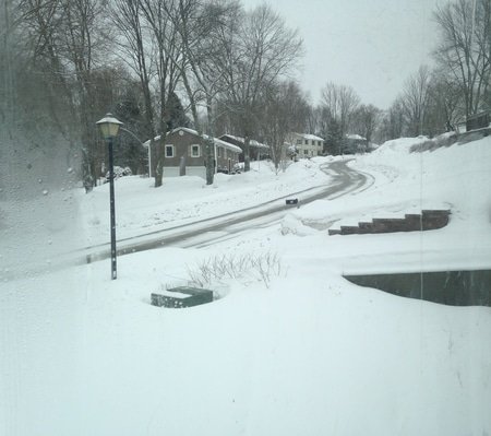 Lisa's Snowy Yard