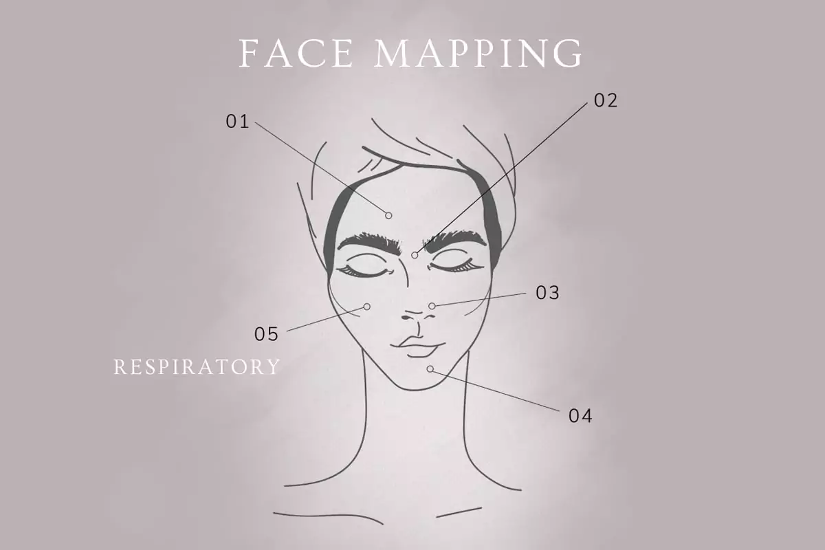 Face Mapping: the Respiratory System and Your Cheeks