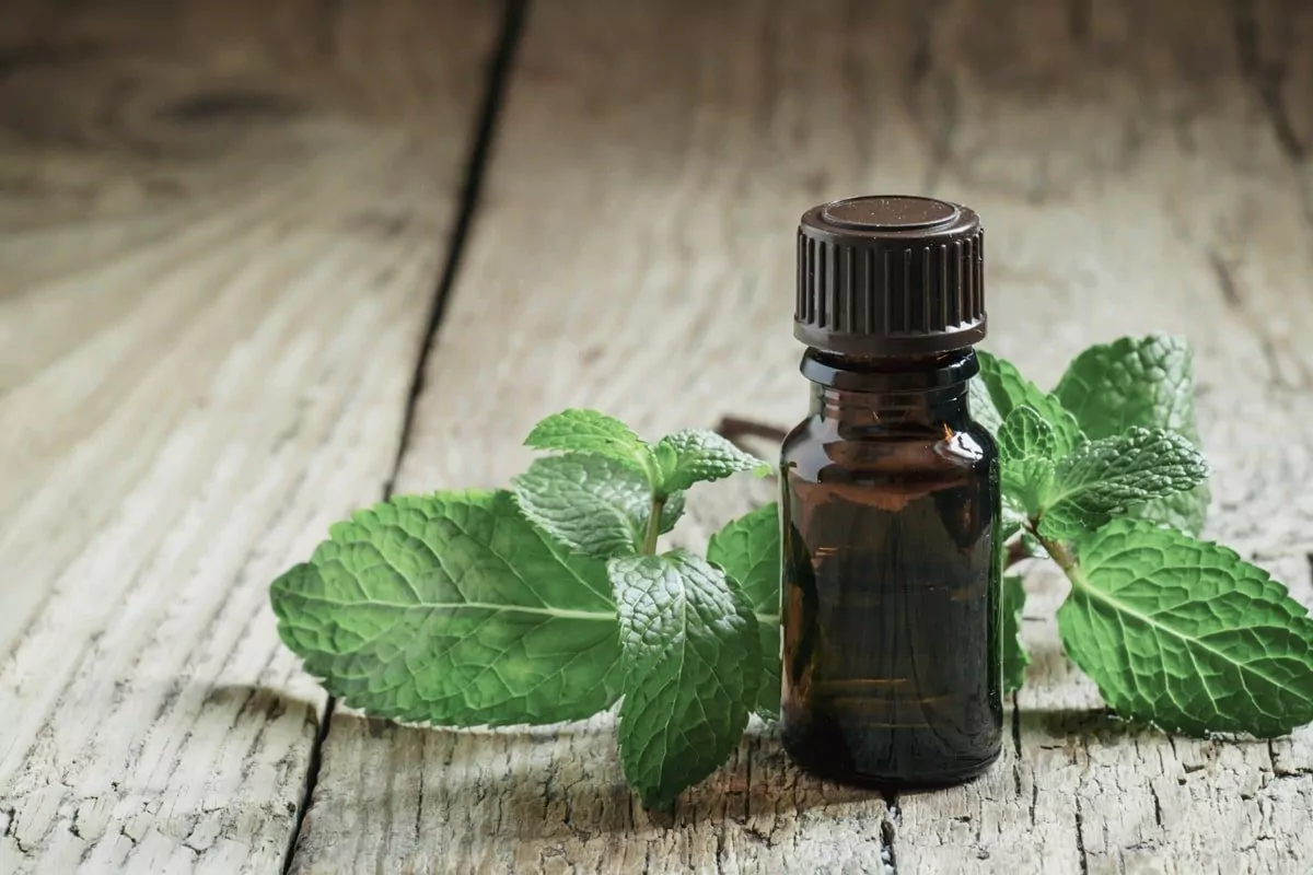 6 Fun & Easy DIY Essential Oil Recipes for Moms