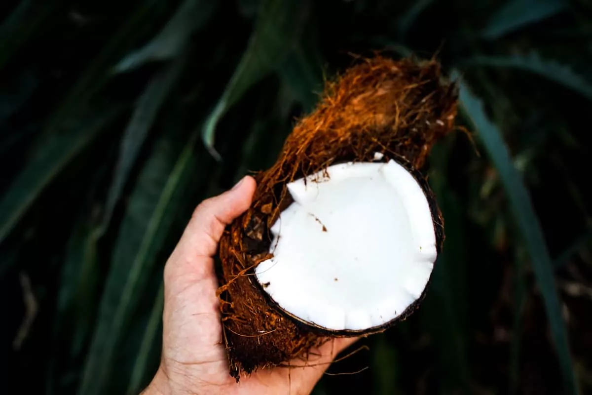 Both fractionated and unfractionated coconut play a different role for your skin.