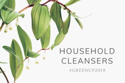 #GreenUp2019: Household Cleaners 1