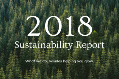 Sustainability Report: 2018 21