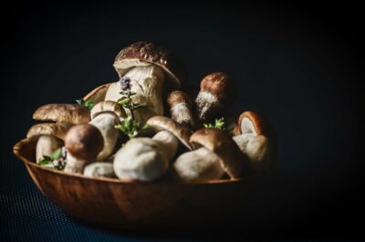 medicinal mushrooms