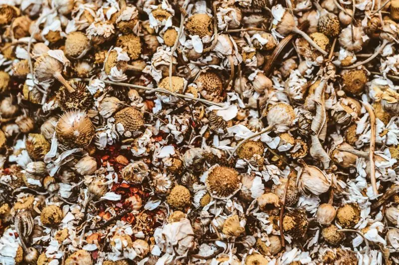 Close-up of dried chamomile flowers used for natural skincare ingredients.