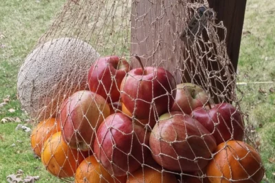 Mesh Fruit Bag