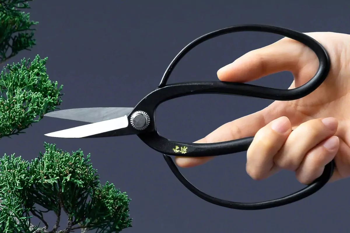 Bonsai Scissors